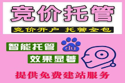 某品牌SEM广告的蜕变——代运营公司的力量